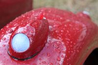 Soubor: IMG_3176.JPG